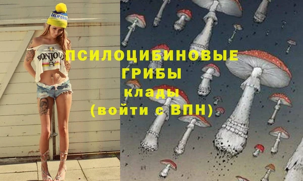 бутират Алексин