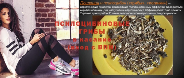 амф Алзамай